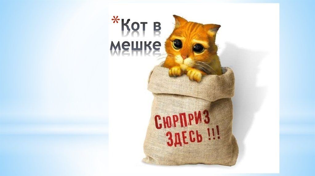 Кот в мешке картинка