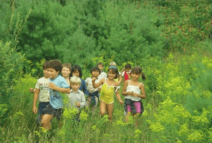 Экскурсия в лес летом