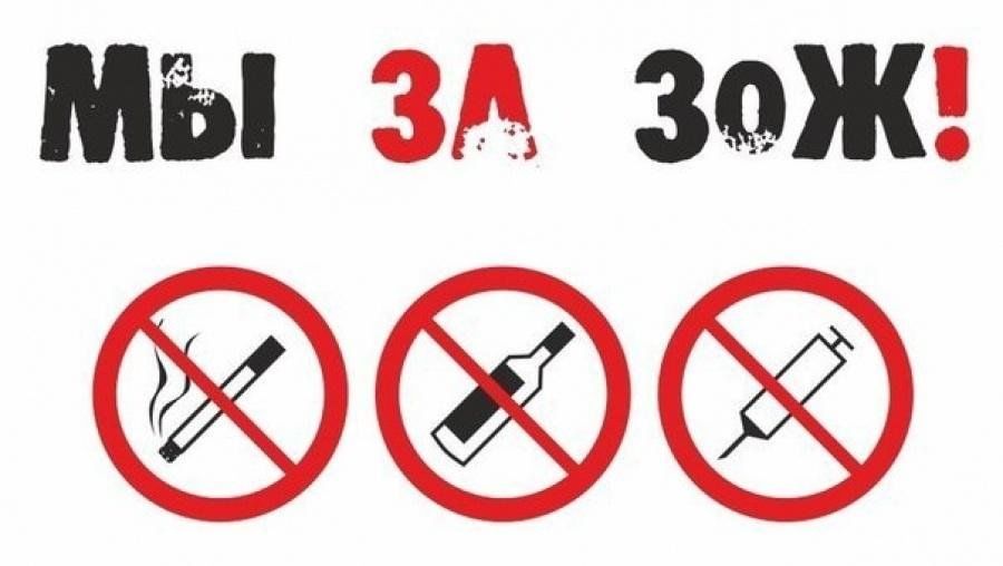 Здоровый образ жизни за и против проект Выбираем ЗОЖ 2024, Кукморский район - дата и место проведения, программа меропри