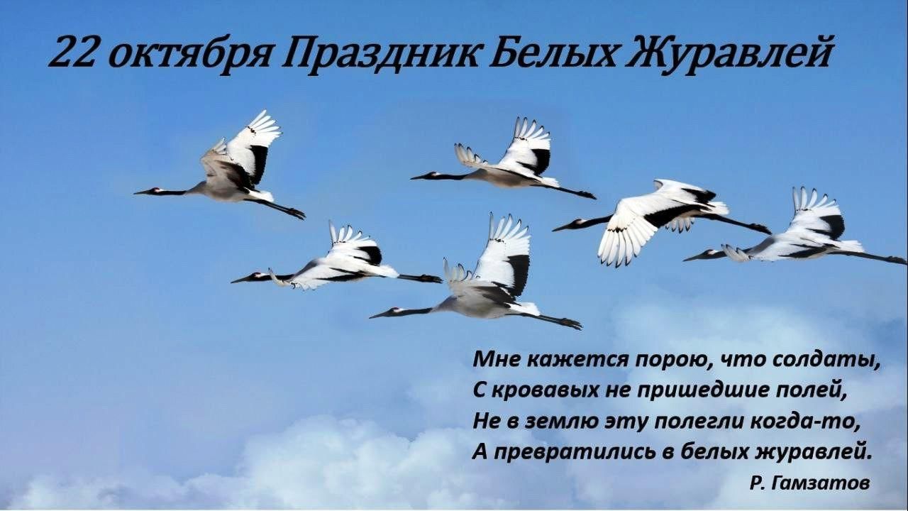 Акция «День белого журавля» 2022, Сасовский район — дата и место  проведения, программа мероприятия.