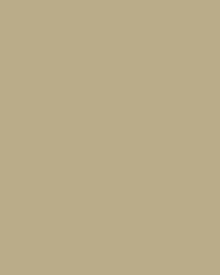 Исаак Левитан. Портрет писателя Антона Чехова. Этюд. 1886. Государственная Третьяковская галерея, Москва