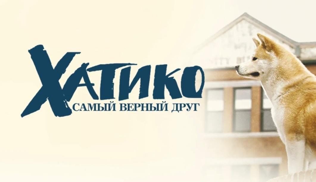 Хатико балаково магазин техники