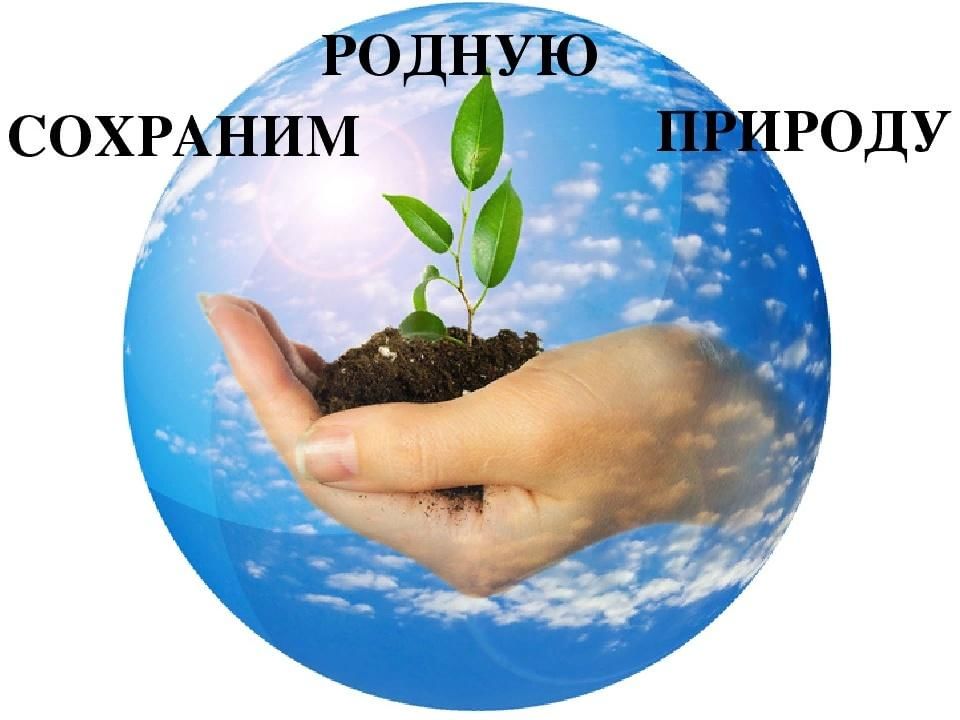 Сбережем природу вместе проект