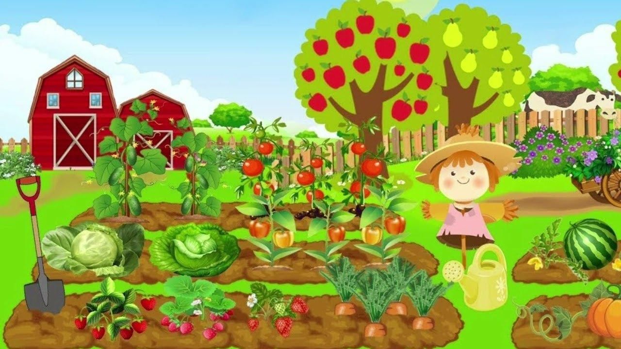Нарисуем огород там растет два куста ягоды. Огород для дошкольников. Грядка с овощами для детей. Картина огород для детей. Огород для детей в детском саду.