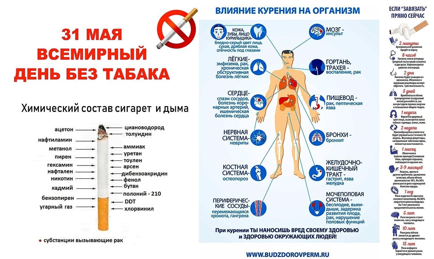 Час откровенного разговора &quot;Сигареты - это яд, он опасен для ребят&quo...