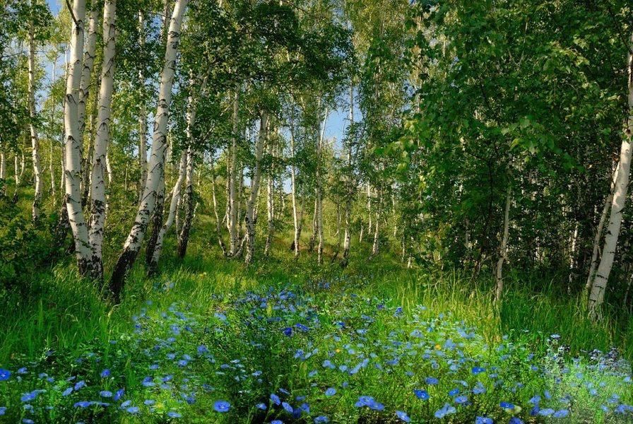 Изображение русской природы