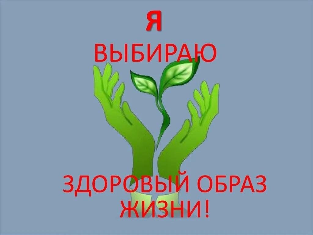 Здоровый образ жизни проект 9