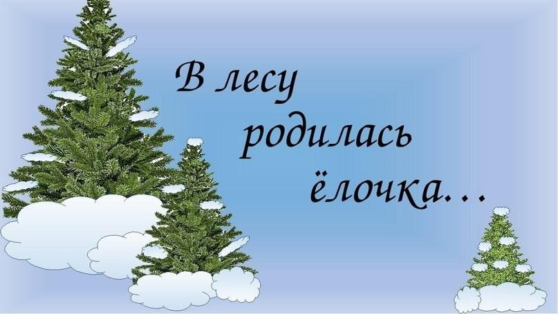 В лесу родилась елочка дилижанс. В лесу родилась ёлочка. В лесу родилась елочка презентация. В лесу родилась ёлочка гиф. В лесу родилась елочка иллюстрации.