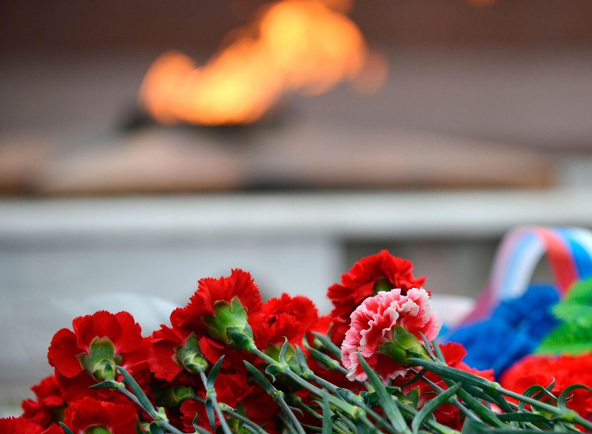 Фон для презентации 22 июня день памяти. Гвоздики погибшим воинам. Митинг посвященный Дню памяти и скорби. День памяти и скорби. Гвоздики у вечного огня.