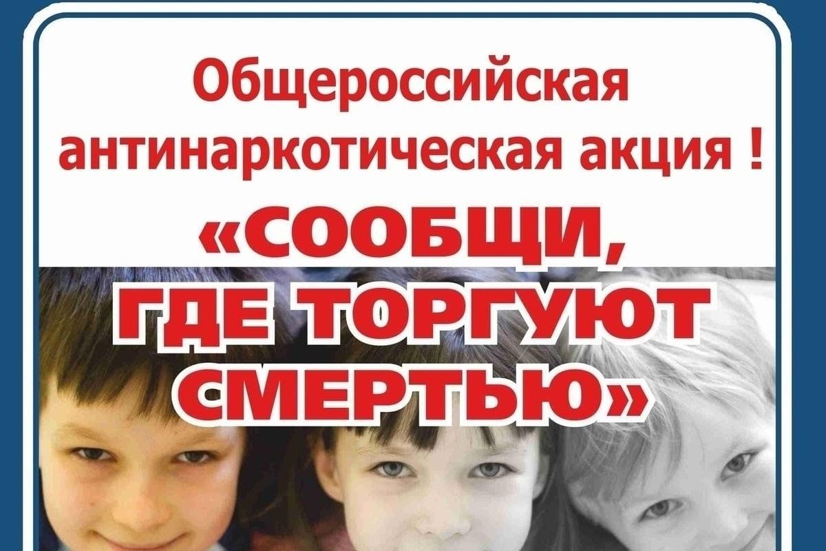 Сообщи где торгуют смертью картинки