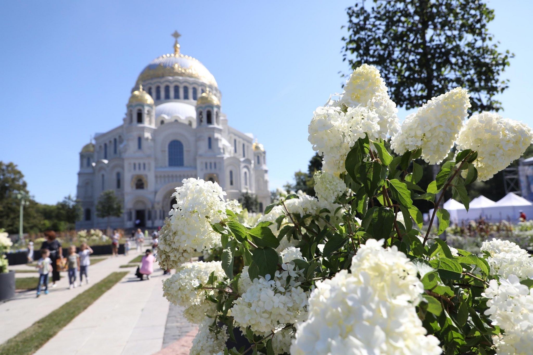 Подарок кронштадт