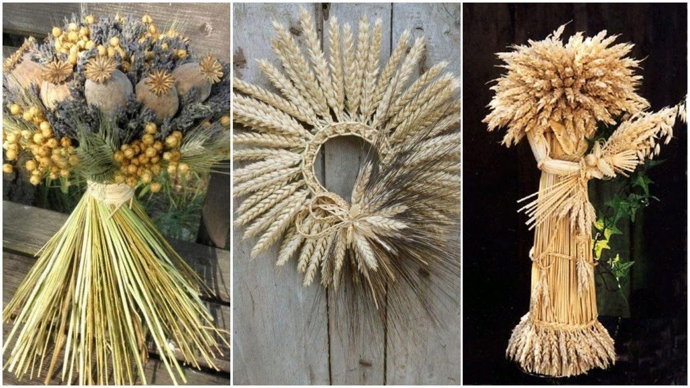 Букеты из колосков пшеницы