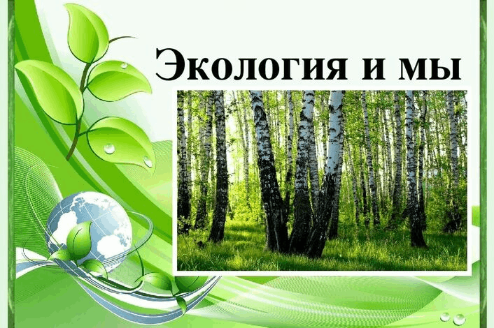 Индивидуальный проект на тему экология