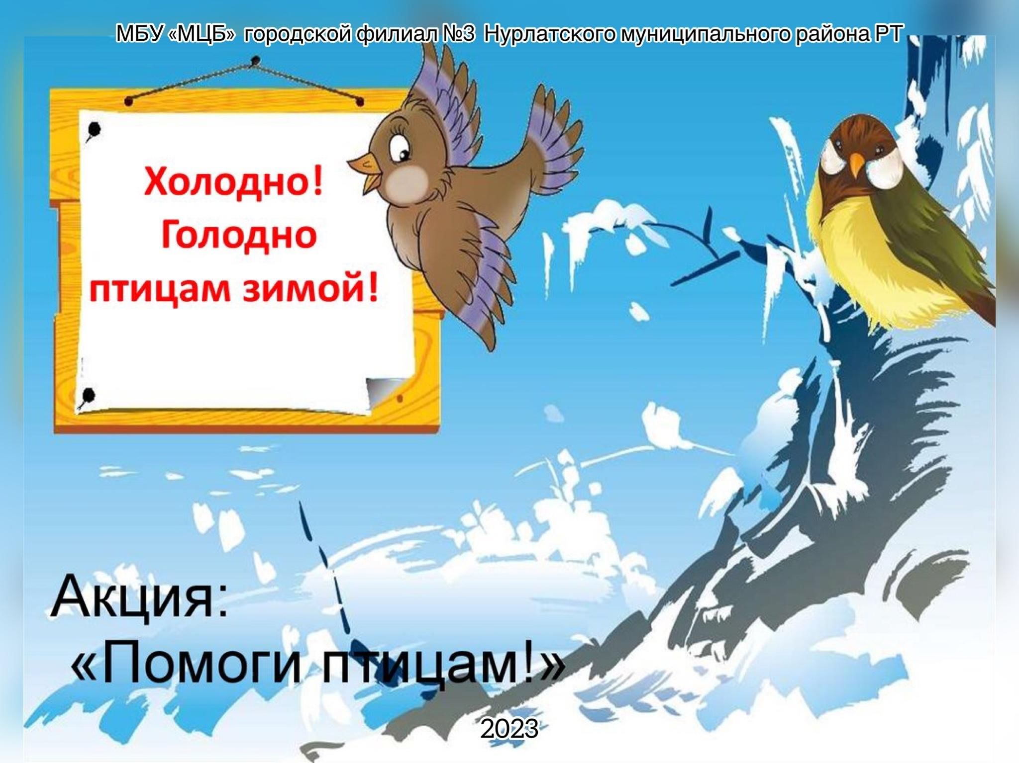 Помоги птицам. Холодно и голодно птицам зимой. Помощь зимующим птицам. Акция помоги птицам. Акция помоги птицам зимой.