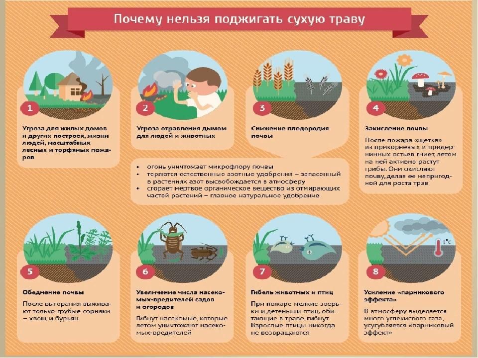 Пал травы презентация для детей