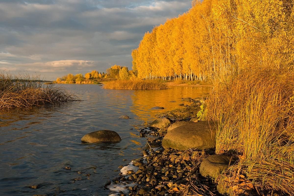 Осень на волге фото