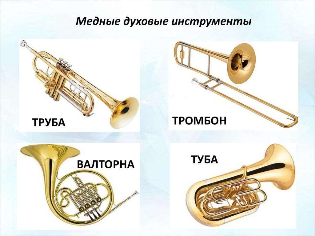 Духовой медный музыкальный инструмент в виде. Медно-духовые: валторны, трубы, тромбоны, тубы.. Медные духовые инструменты тромбон валторна труба туба. Валторна туба труба тромбон это инструменты. Медные духовые инструменты - труба, труба, тромбон, валторна.