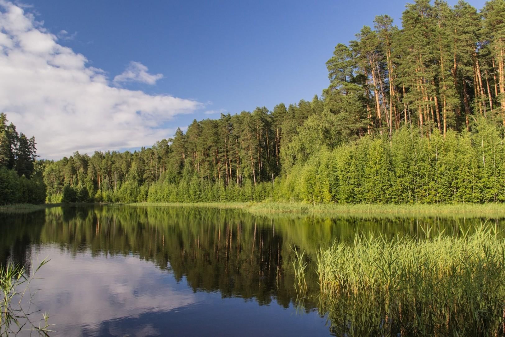 Озеро Чваниха в Медведском Бору Кировская область