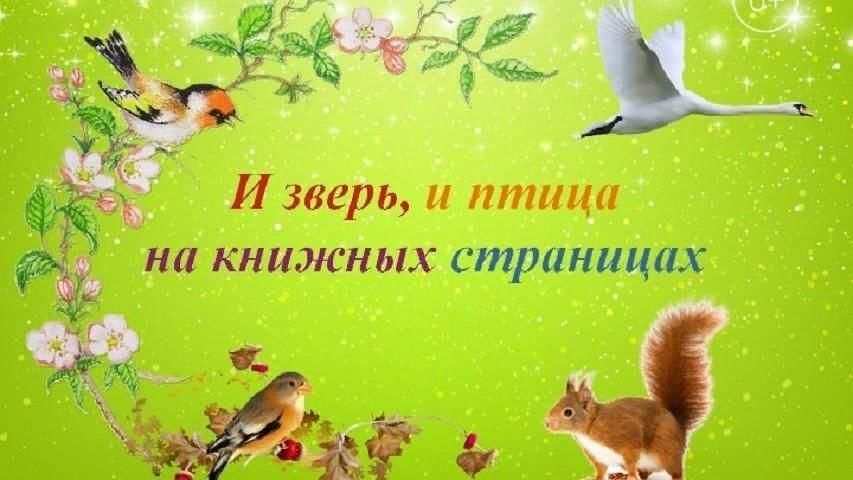 Мир животных в волшебных картинках книга