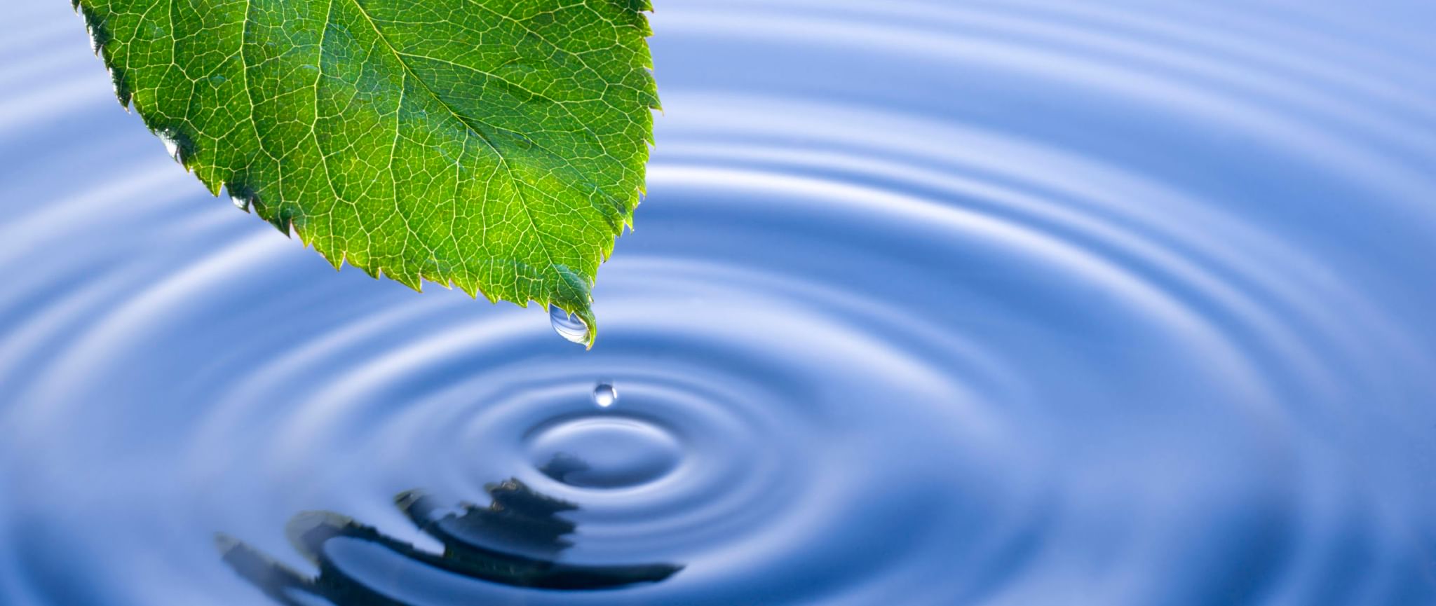 Water ecology. Экология воды. Вода в окружающей среде. Вода картинки.