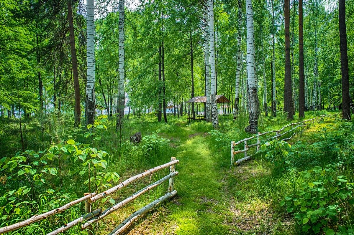 База остров первоуральск