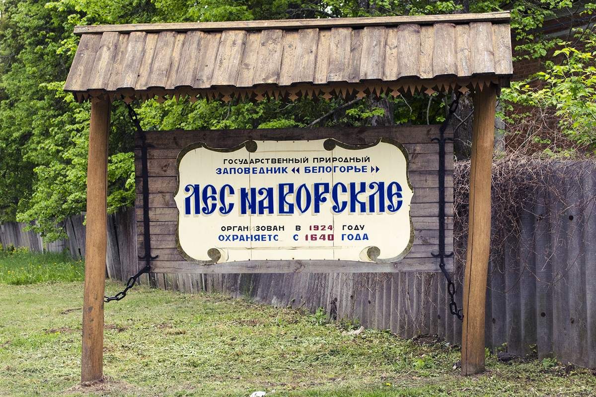 Заповедник белогорье фото Виртуальная экскурсия "Мир заповедной природы" 2020, Волоконовский район - дата 