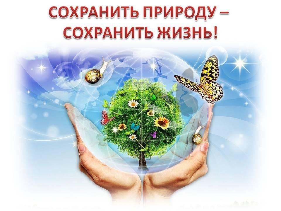 Картинки сохраним жизнь на земле