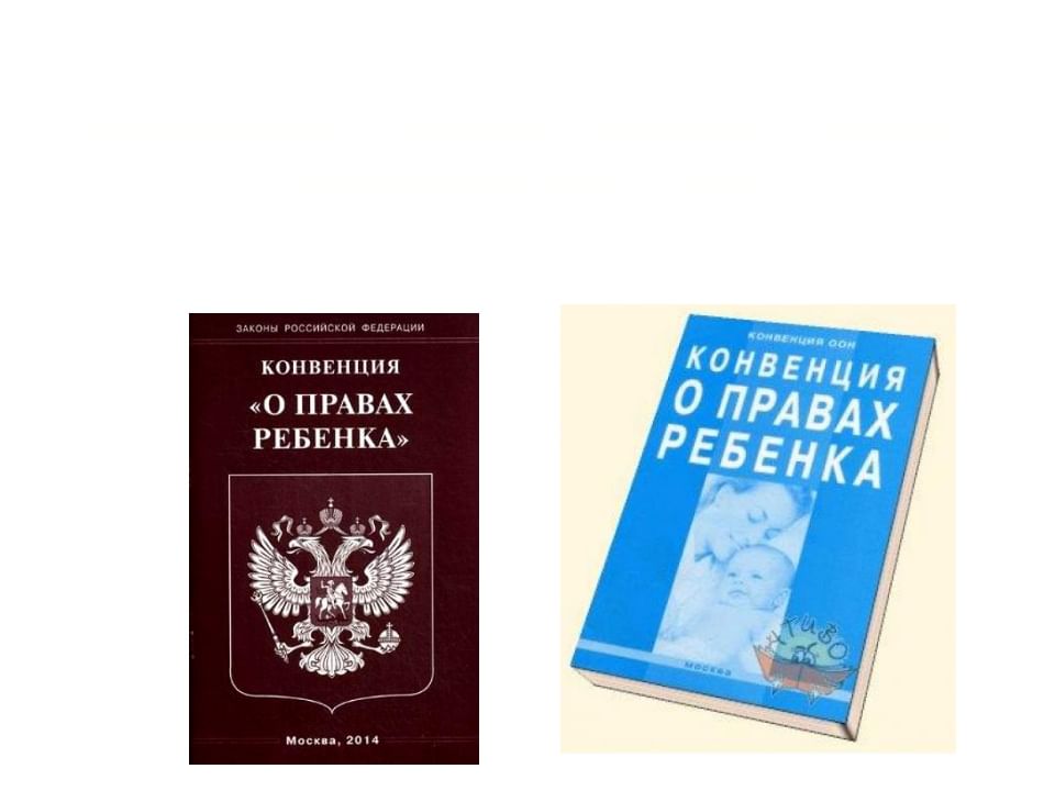 Предложение рассмотреть в комиссии по правам человека оон проект конвенции о правах ребенка сделала