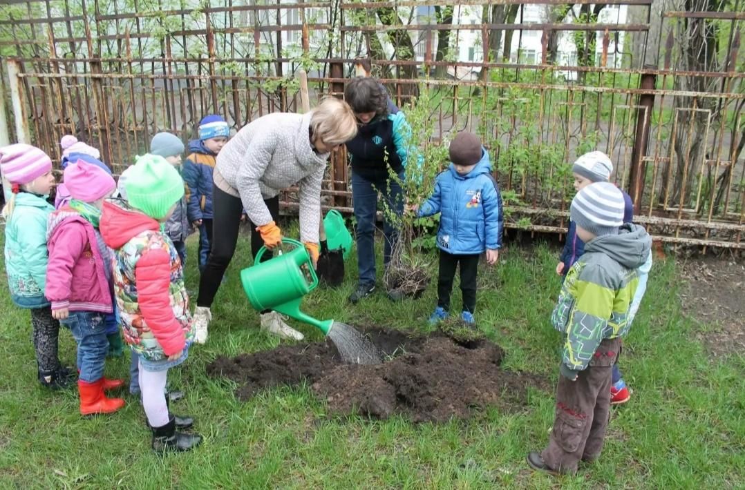 Экологические акции. Экологические занятия. Экологическая акция. Акция экологические в саду. Высадка деревьев в детском саду.