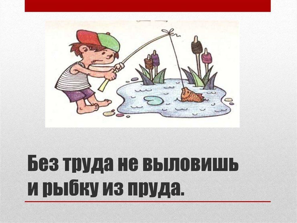 Без труда не выловишь рыбку из пруда. Без труда не выловишь и рыбку из пруда. Без тура не выловишь и рыбку из пруда. Пословица без труда не выловишь и рыбку из пруда. Без труда и невыловишь руькы из пруда.