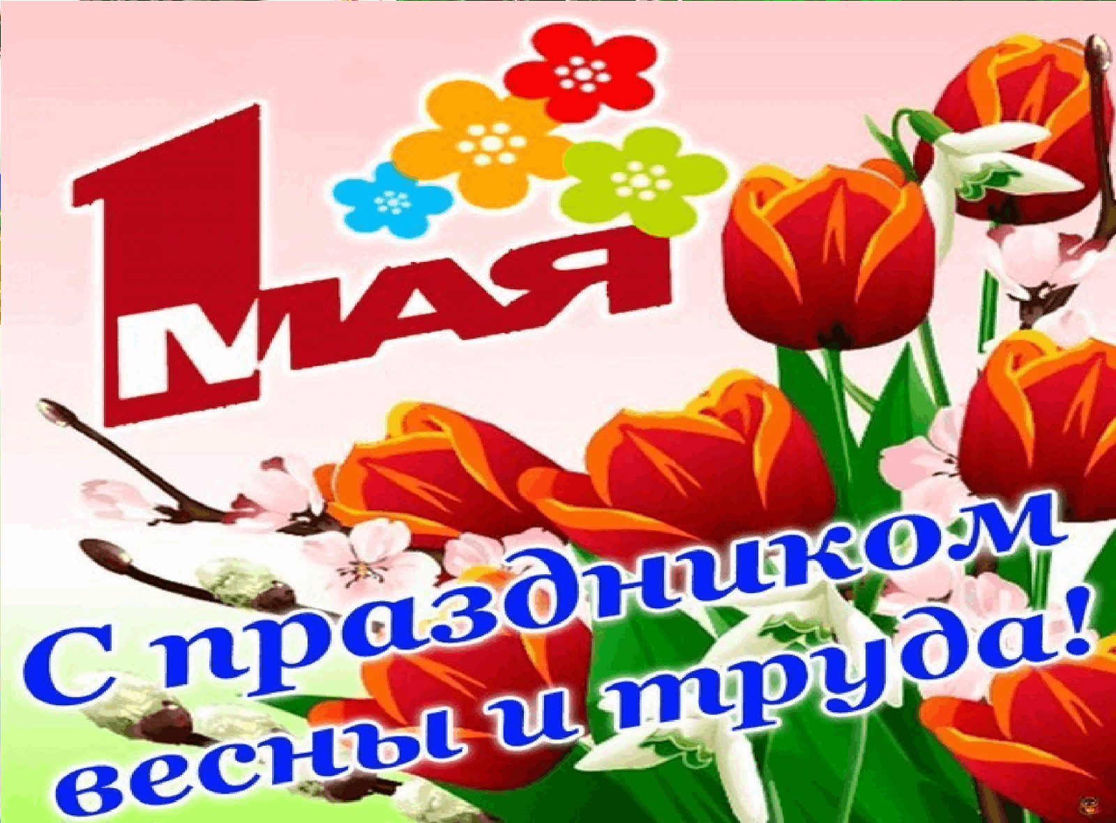 Праздники в мае картинки