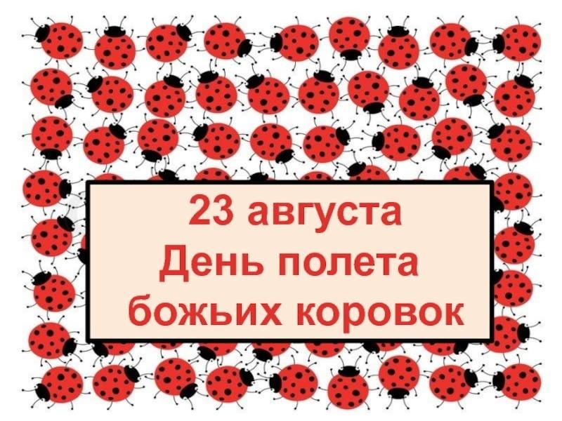 День полета божьих коровок 23 августа. День полета божьих коровок. 23 августа день божьих коровок. Божья коровка улети на небо принеси нам хлеба. День полета божьих коровок 23.