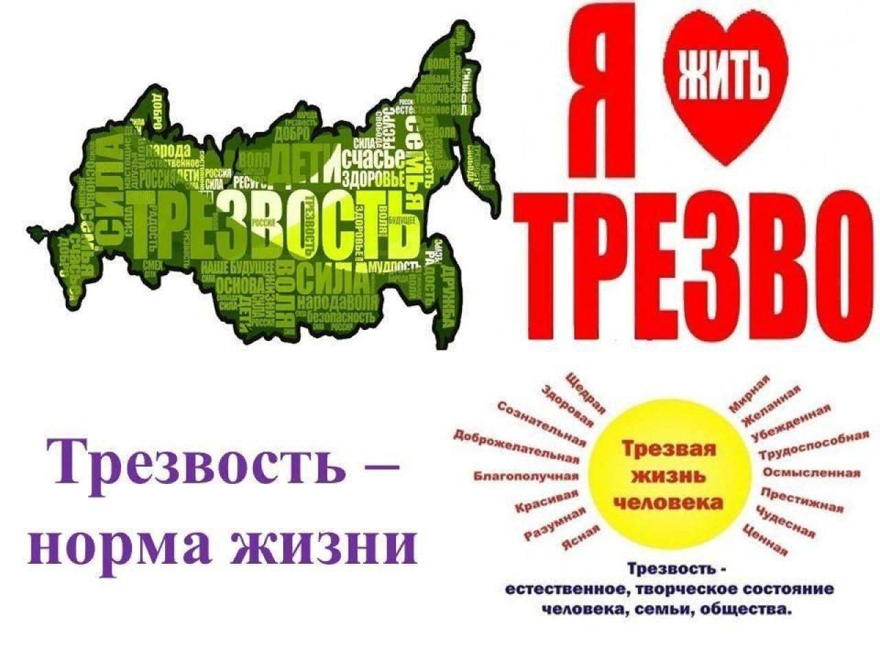 Трезвость норма жизни картинки