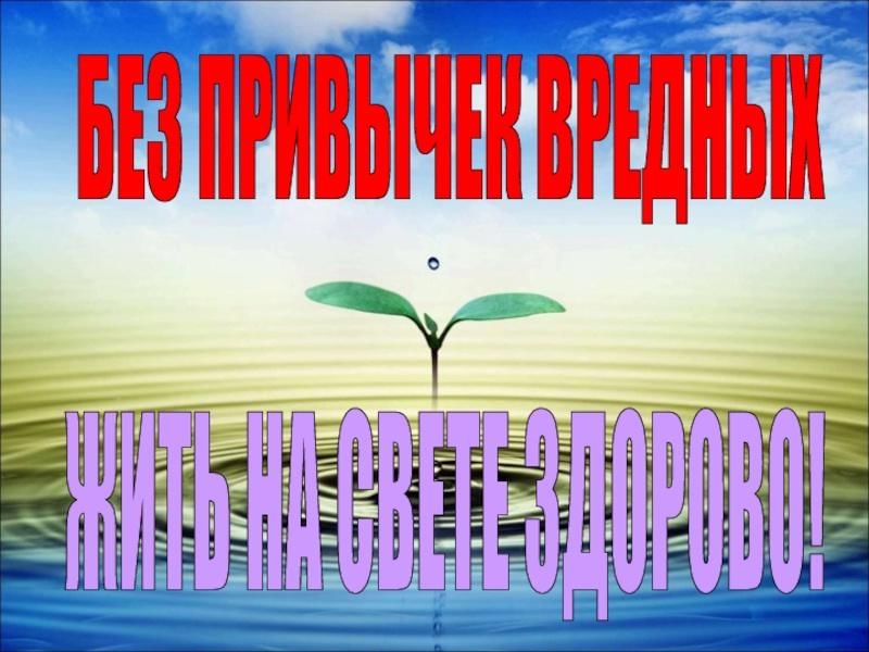 Без вредных привычек жить на свете здорово картинки