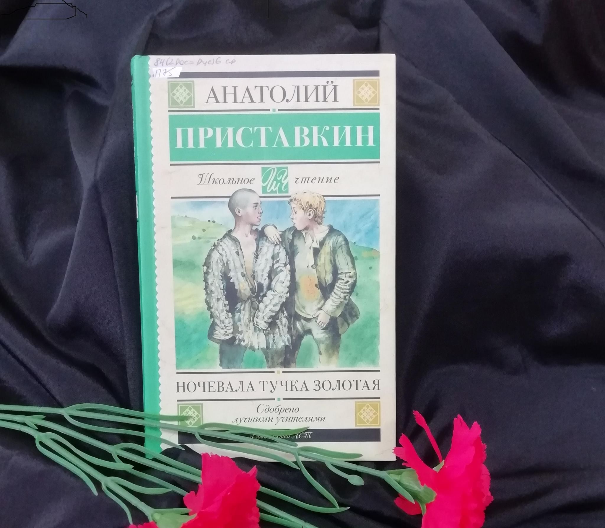 Приставкин тучка золотая. Ночевала тучка Золотая Анатолий Приставкин анализ героев повести. События и планы ночевала тучка Золотая. Ночевала тучка Золотая Приставкин аудиокнига слушать. Пословица к повести Приставкина ночевала тучка.