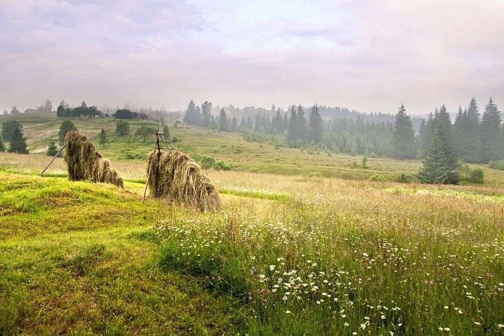 Картинка сенокос в деревне