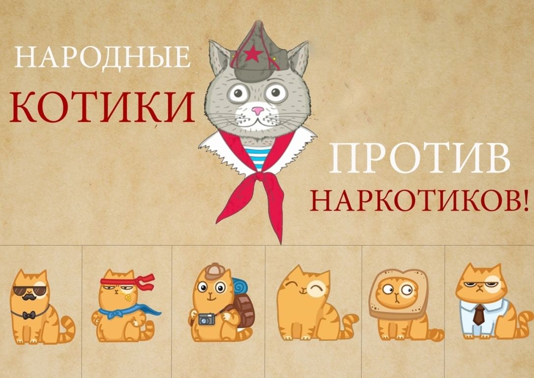 Коты против. Коты против наркотиков. Котики против наркозависимости. Наркотики котики котики. Котик наркотик.