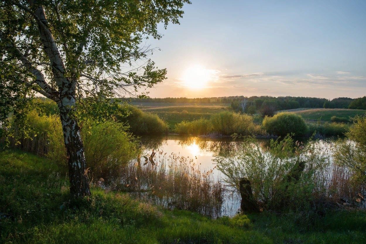 Весна май картинки пейзаж