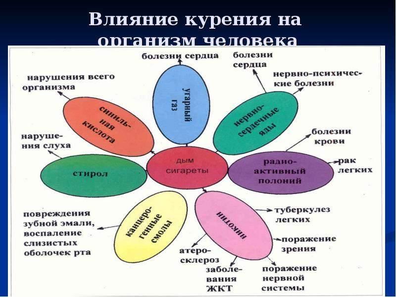 Влияние курения на организм человека схема