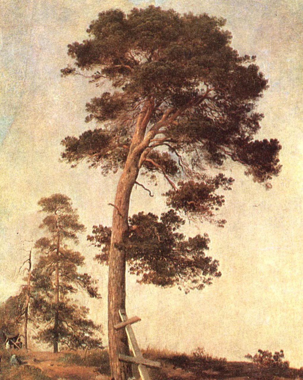 Иван Шишкин. Сосна на Валааме (фрагмент). 1858. Пермская государственная художественная галерея, Пермь