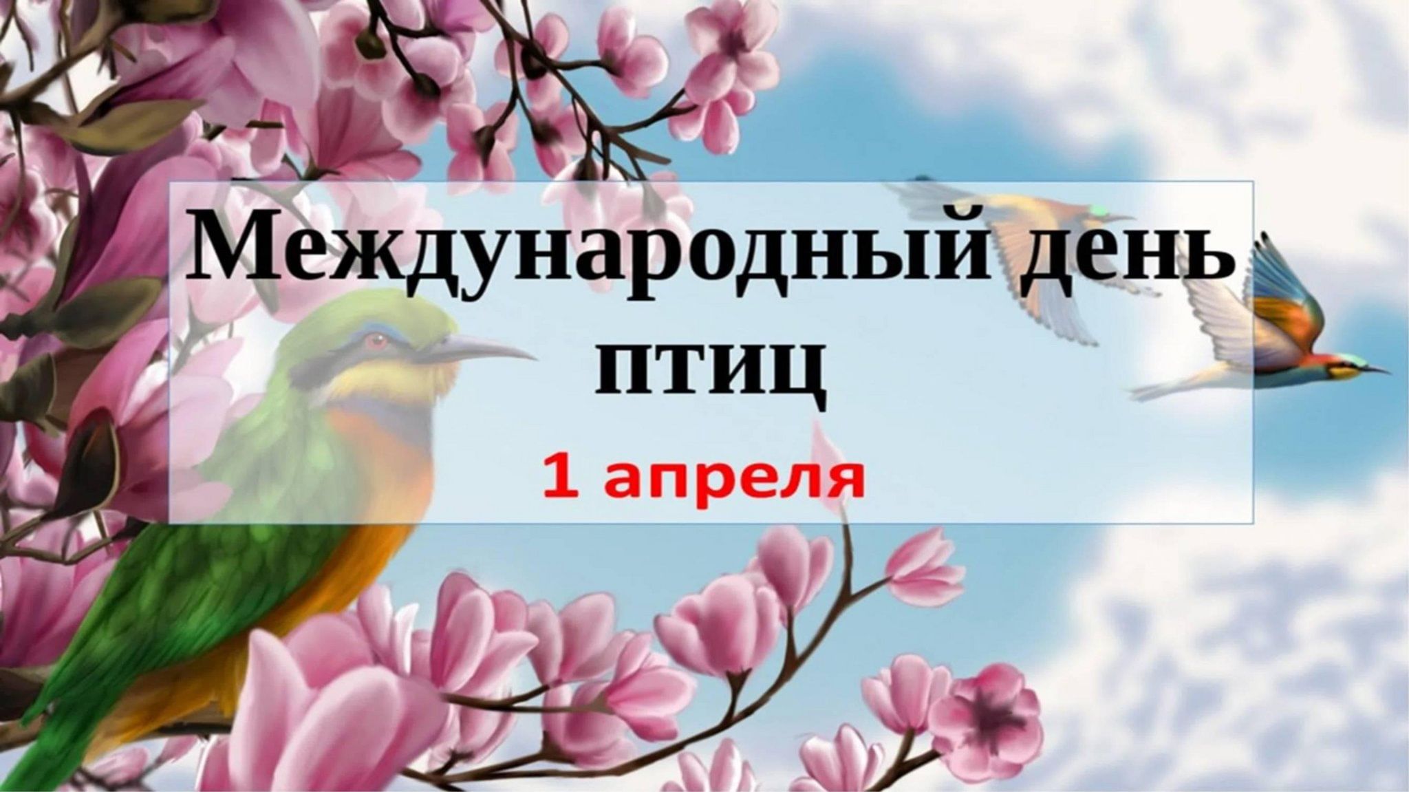 День птиц видео для детей. День птиц. Международный день птиц. Международный день Пти. Междунаровныйденьптиц.