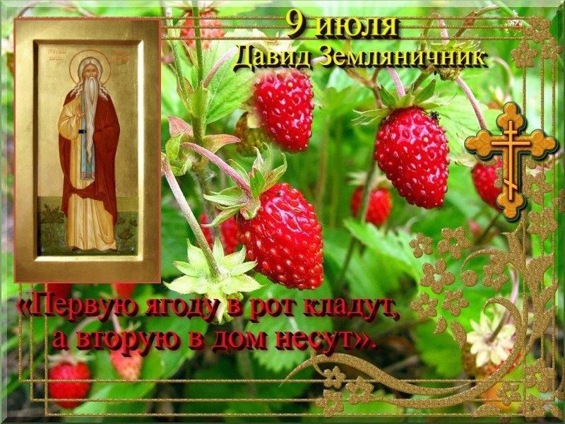 09 июля. Народный праздник Давид земляничник. Июнь земляничник. День Давида земляничника. 9 Июля - Давид земляничник /26 июня/