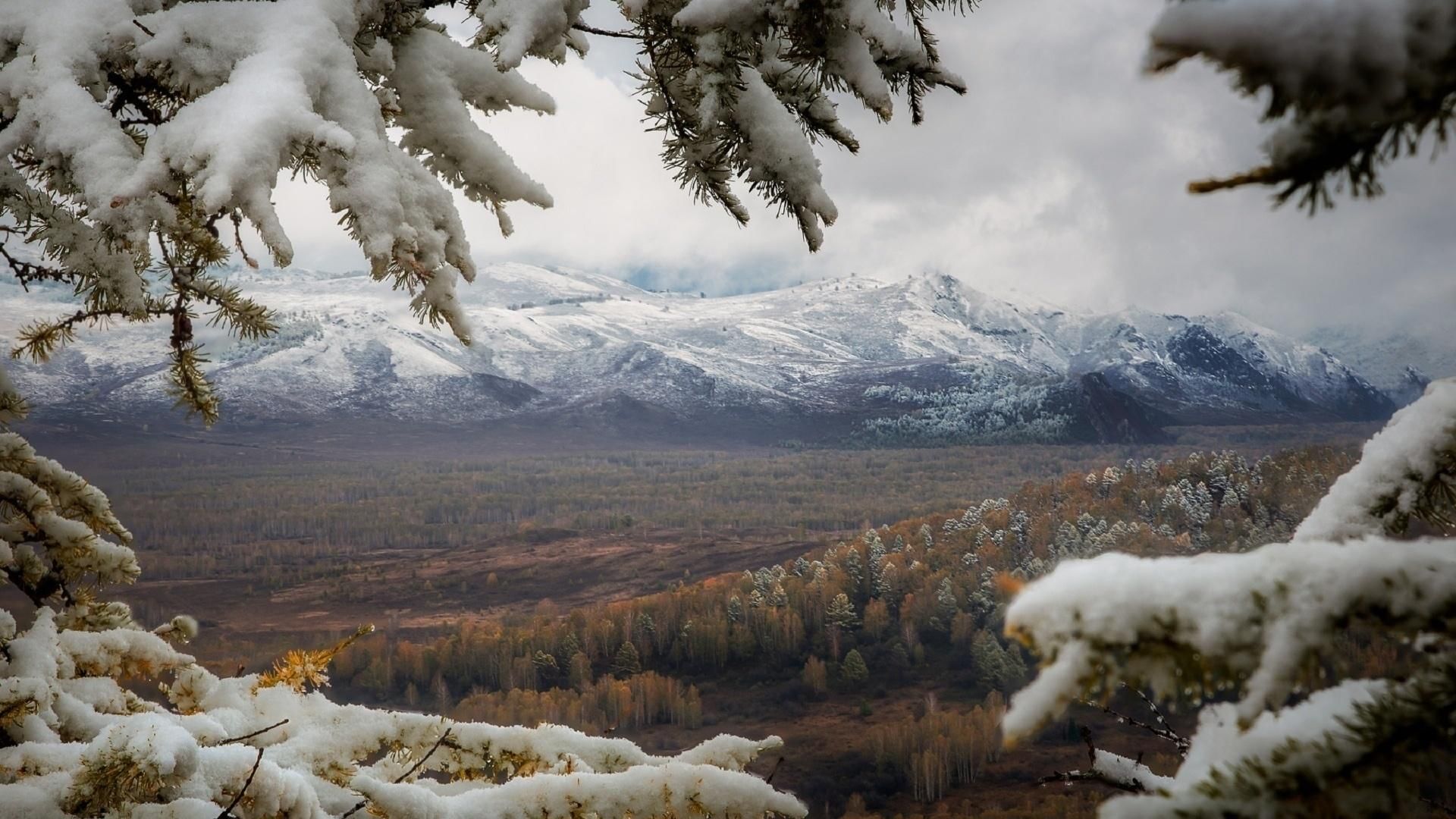 Первый снег в горах