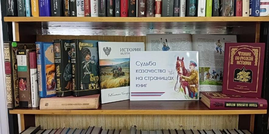 История и современность полки