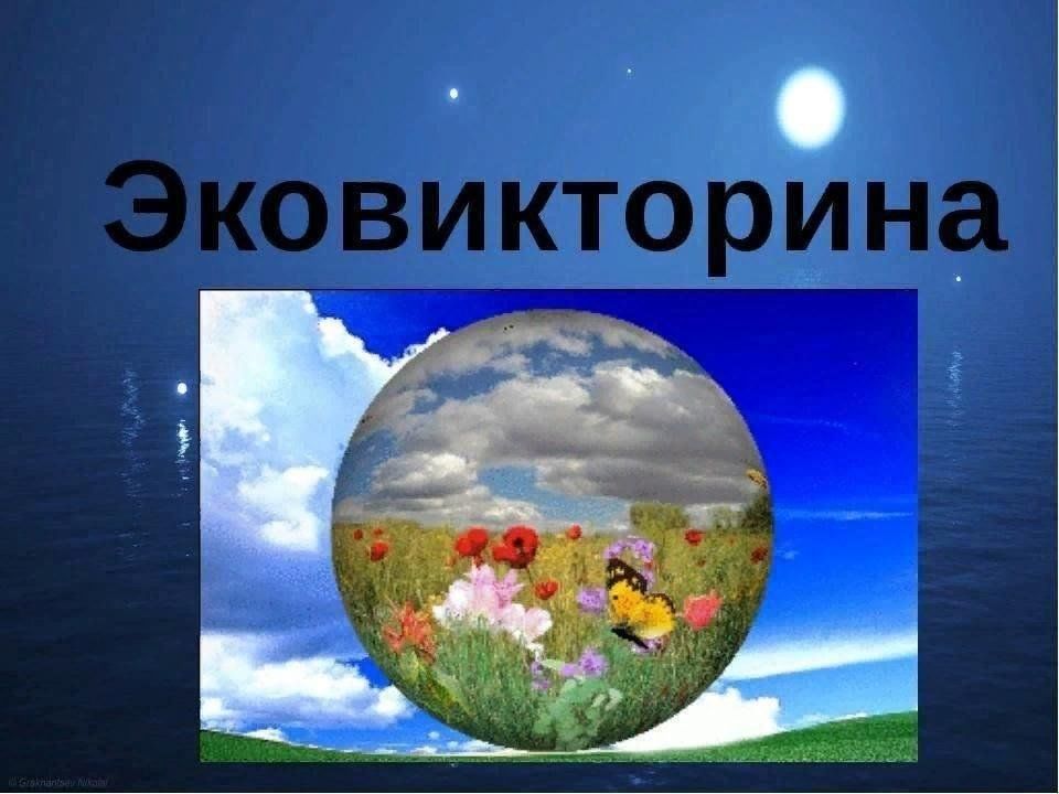 Картинка экологическая викторина