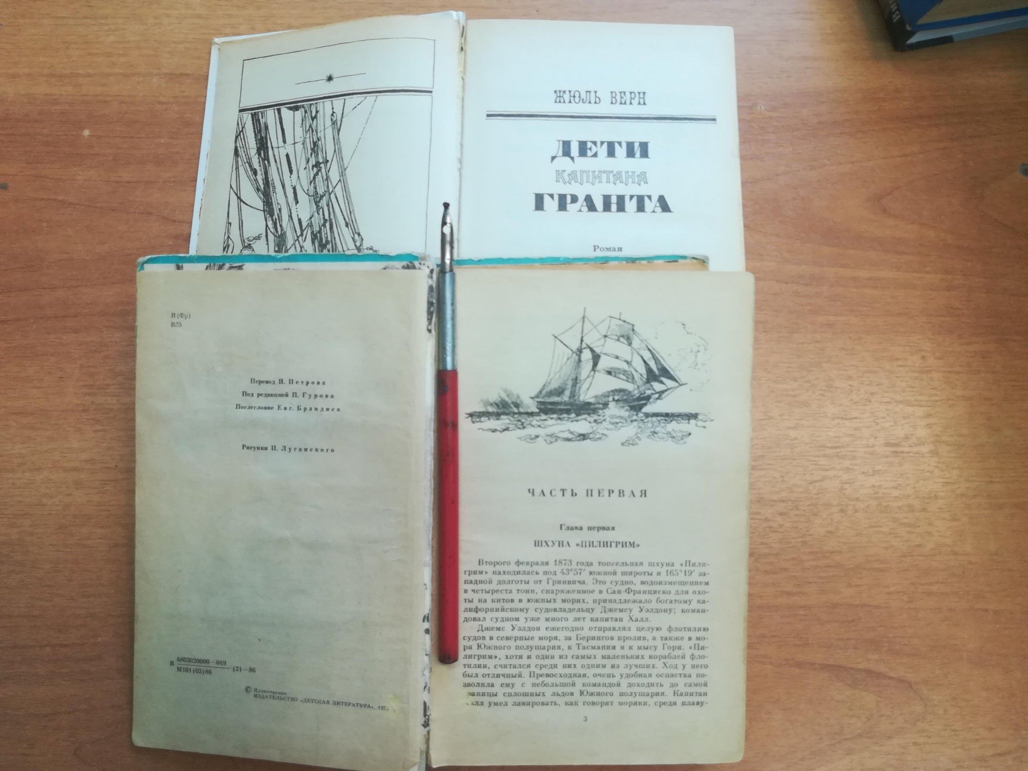 Ж верна дети капитана гранта читать. Книга о капитане Воронине.