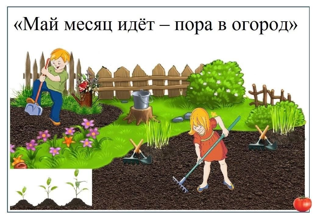 Picture background