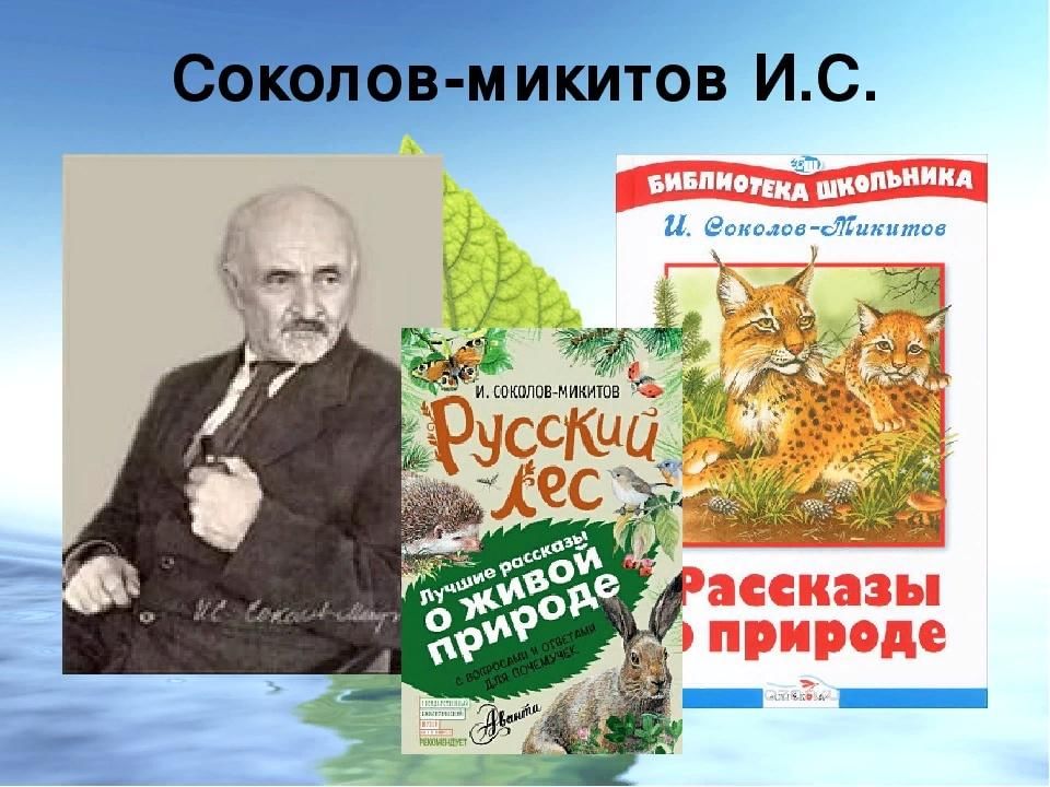 Соколов микитов рассказы о природе презентация