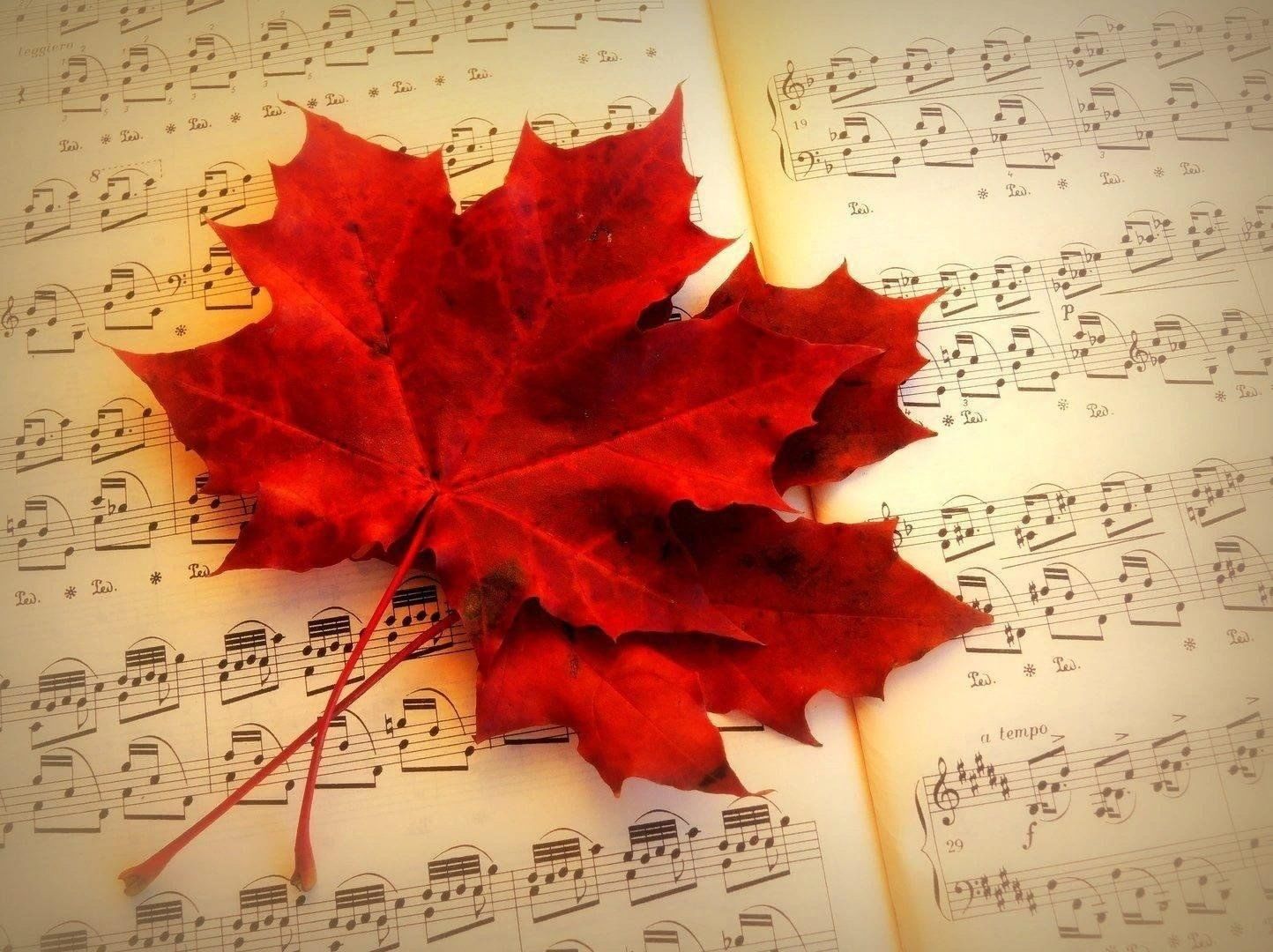 Лист песни ноты. Осенние нотки. Рояль в кленовых листьях. Мелодии осени. Осенние листья Ноты.
