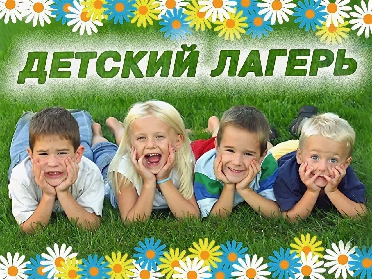 Школьный лагерь картинки